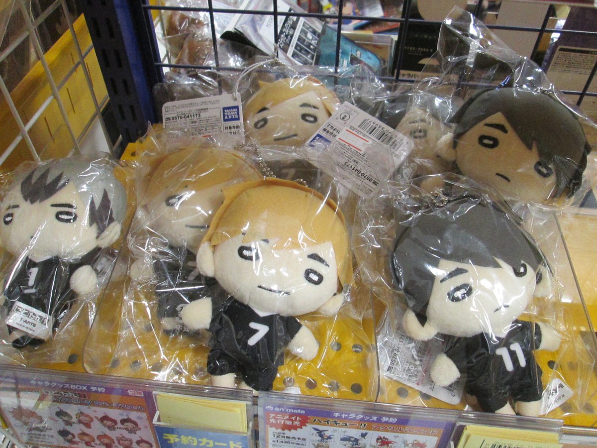 アニメイト熊本 Na Twitteru グッズ入荷情報 ハイキュー にとたん 稲荷崎高校ボールチェーン付ぬいぐるみ 各種入荷致しました ご予約のお客様はお引き取りをお願いいたします アニ熊本入荷