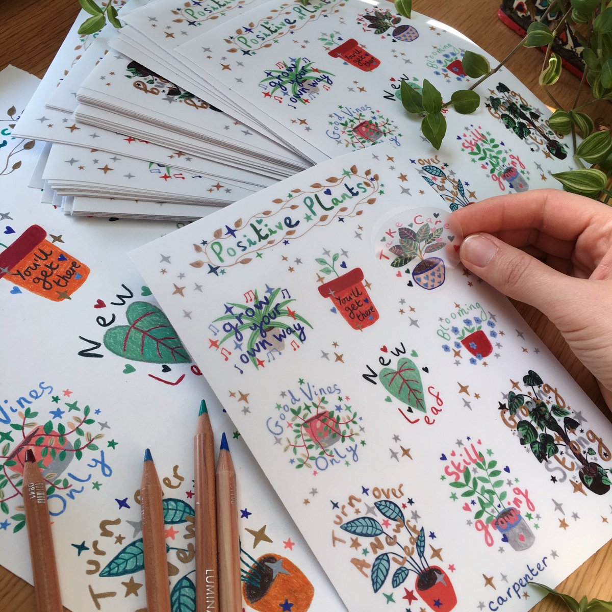 Just wanted to share these great positive plant sticker sheets created by @emmacarpenterillo that we have been printing recently
ow.ly/A7w650CLGiX
#plants #stickers #stickersheets #plantstickers #art #plantlovers #gardener #greenfingers #print