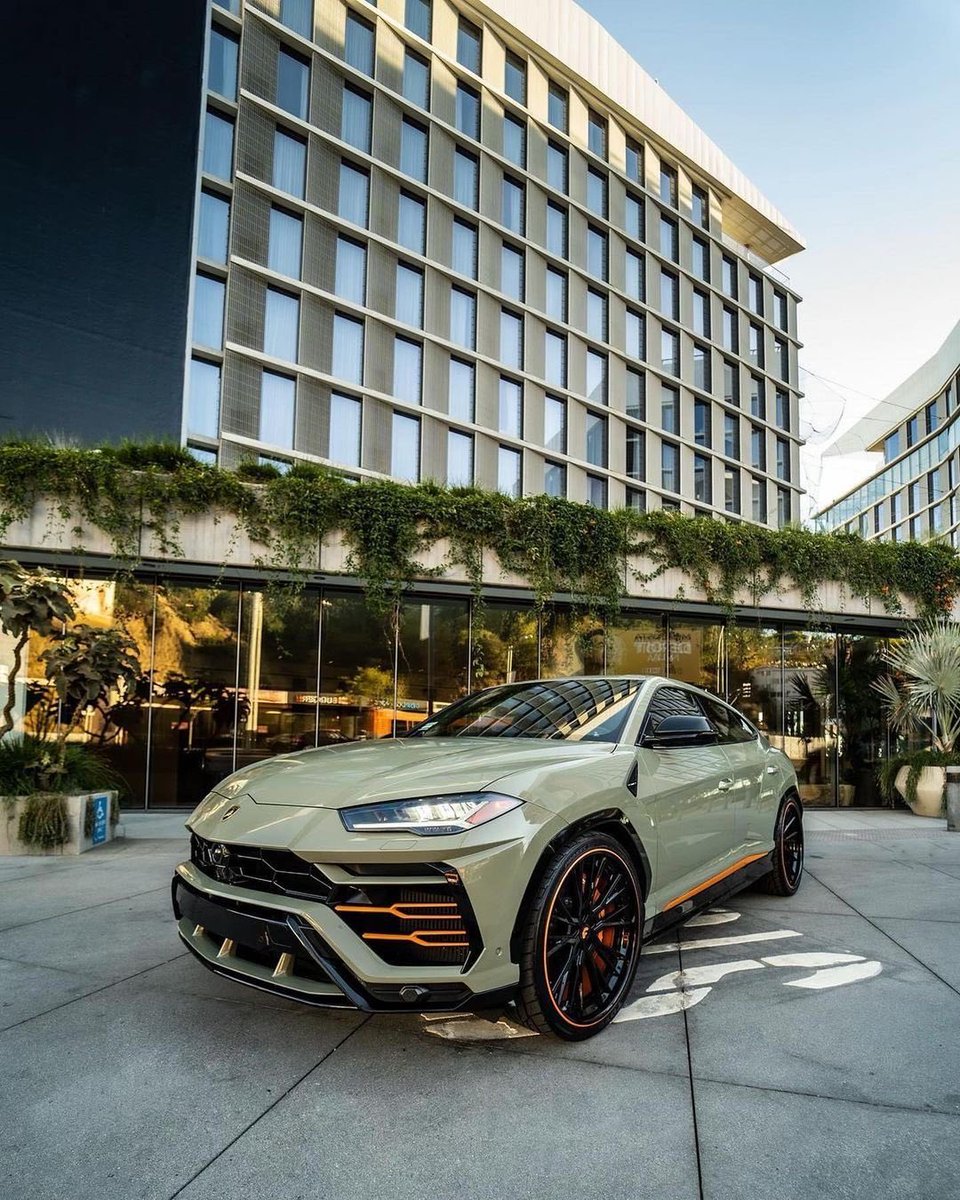 motorforms's tweet photo. Lamborghini Urus 🐍 https://t.co/f0KRBJoJ9C