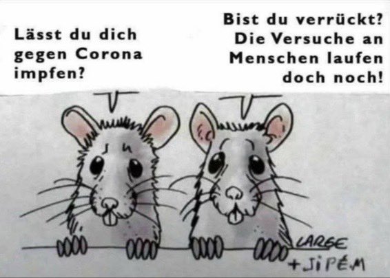 „Querdenkende Mäuse“