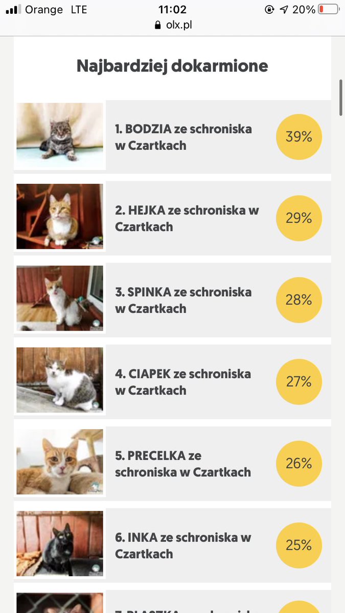 awhmyjadex's tweet photo. Akcja kończy się jutro, pieski już wszystkie nakarmione ale zostały kotki, udostepniajcie, proszę :(( https://t.co/W9lBP0bTbB