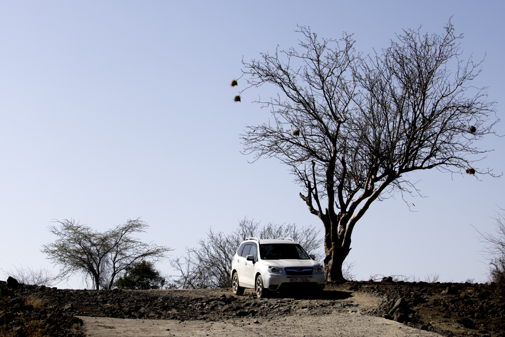 mwarv's tweet photo. Snapshots on the road to Ol'Kiramatian. https://t.co/pVuvo2c8S1