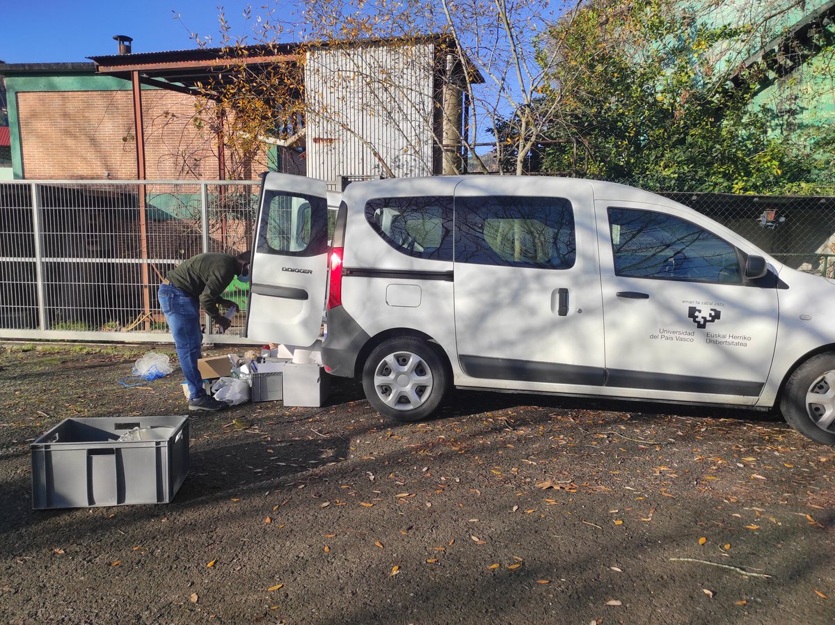 pie_upvehu's tweet image. #mullet #samplingday at #Urdaibai. Are we going to succed? 🤔#born2begg project:  #atresia #gonad #sperm quality assesment