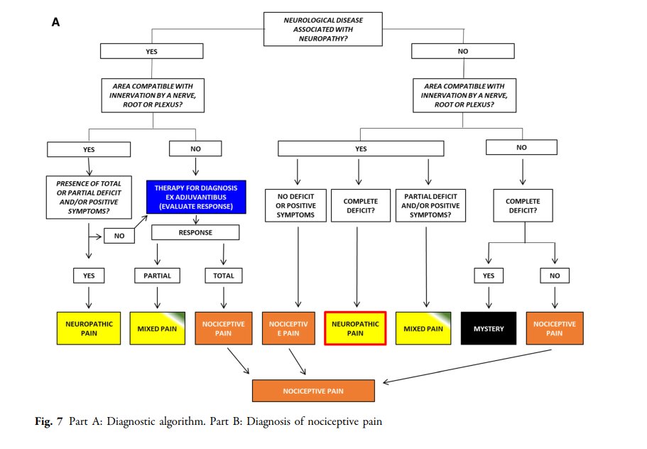 PhysioMeScience's tweet photo. Not All Pain is Created Equal: Basic Definitions and Diagnostic Work-Up

https://t.co/dhlvHXUN6F https://t.co/mqINWxnkYo