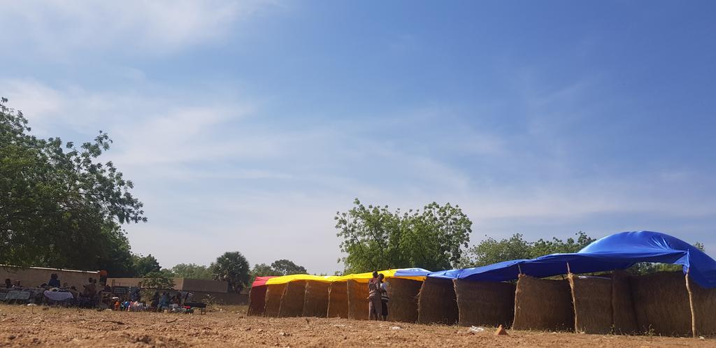 Hassan_fale's tweet photo. H-4 🕙
Laï, la ville de l'Or blanc 🌾vivra au rythme du festival agrobusiness
#Festagro202
#Laï
#Tchad
#ONAPE
@jeunesleaders
@gew_chad
@UNFPATCHAD https://t.co/EJ88bIEwud
