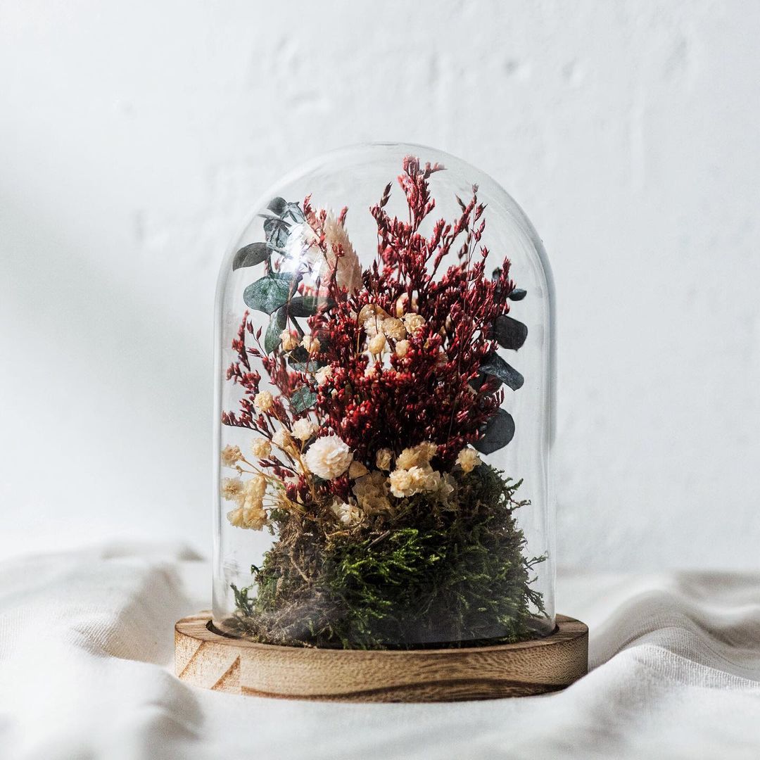 Powered by deliver.ee ! 🚀
Faites-vous livrer les magnifiques créations végétales de Kaki, le jour même ou quand vous le voulez 📲🛵🌹
#shipfromstore #ecommerce #livraison #commande #creationvegetale #fleurs
kaki-paris.com