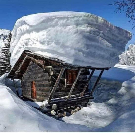 NazeeaJabeen1's tweet photo. Open to see snowcapped roof of a hut in #GilgitBiltistan .
Credits: @Dawn_News https://t.co/C2ezLZY4lH