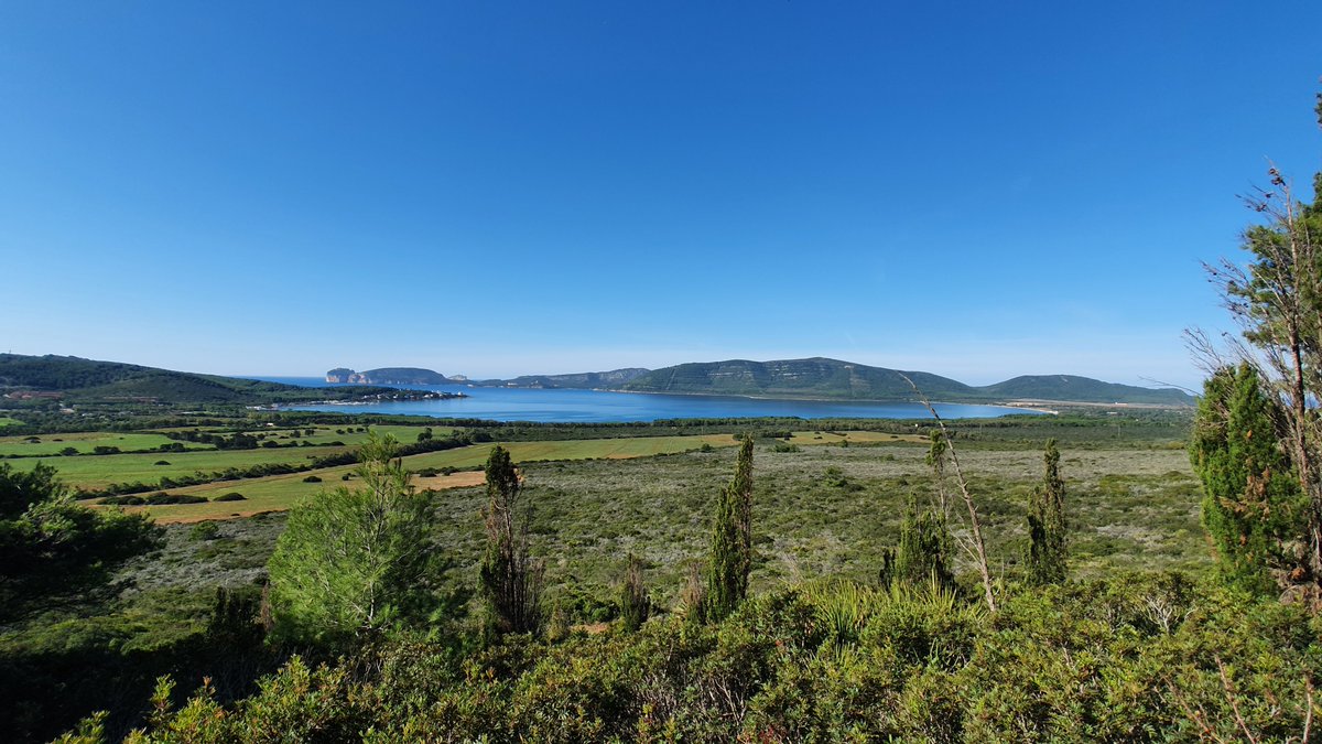 In Sardegna il passaggio a energie 100% rinnovabili è possibile e offre prospettive diverse da quelle di un’infrastruttura gas che rischia di bloccare gli investimenti in tecnologie in contrasto con obiettivi di #decarbonizzazione. Qui lo studio del PoliMi bit.ly/3mavGAW