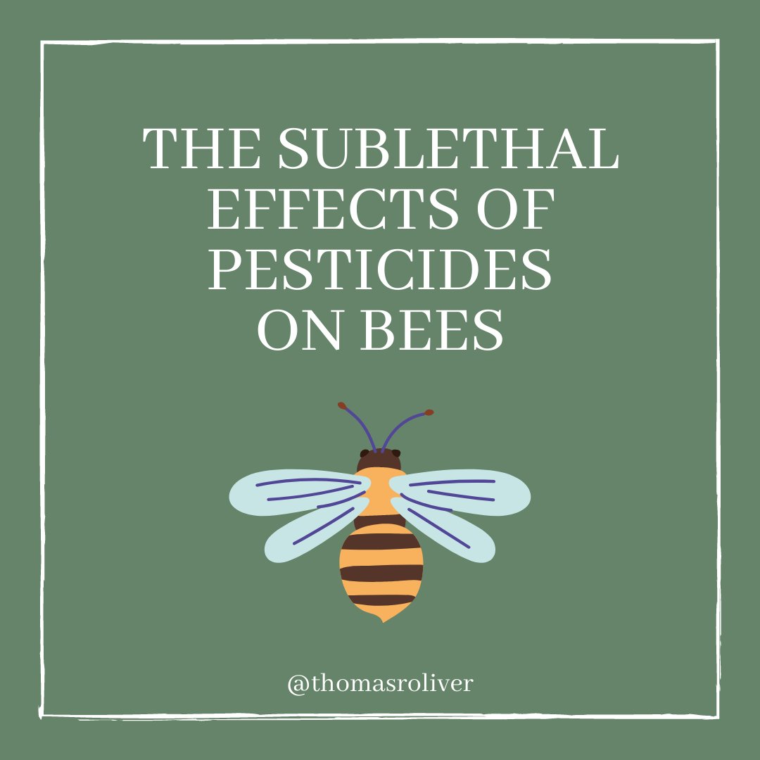 The sublethal effects of pesticides on bees; A thread.  #scicomm  #sciencetwitter