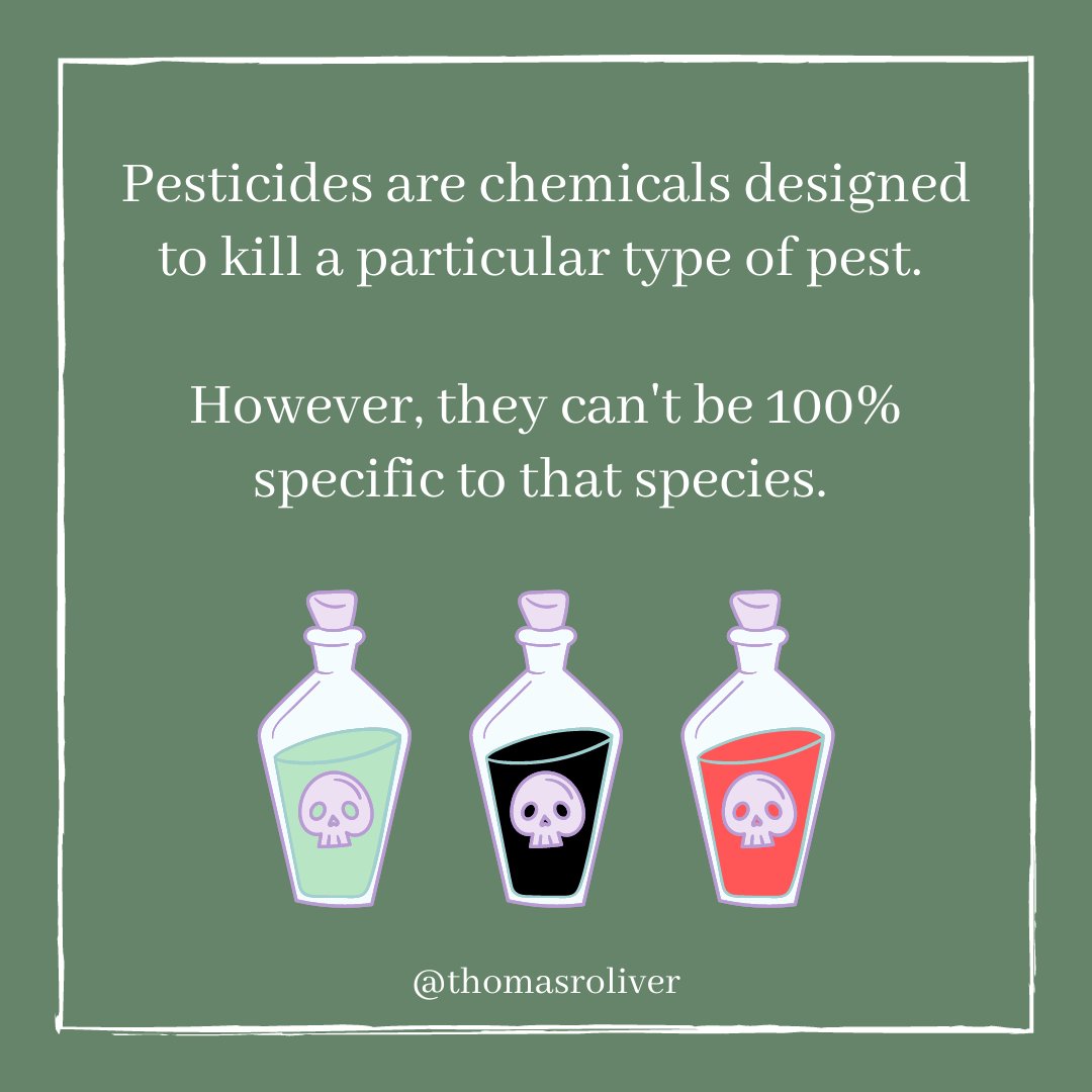 Pesticides are chemicals designed to kill a particular type of pest. However, they can't be 100% specific to that species.
