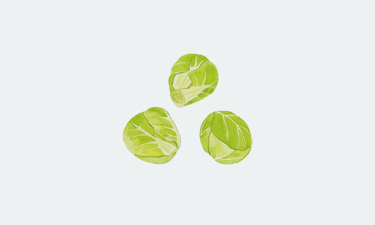 PERFECTDAY_mag's tweet photo. 典型的な冬野菜である芽キャベツはキャベツとは違う、幾層にも重なる葉を噛みしめる食感と独特の甘みが魅力。半分に切ってさっとゆがいたものを、グラタンやクリームパスタに入れて楽しむのも良いが、まずはシンプルにフリットで。

FOOD365 1月13日 芽キャベツhttps://t.co/nb2pbNsc3C https://t.co/EhSzSmd5A0