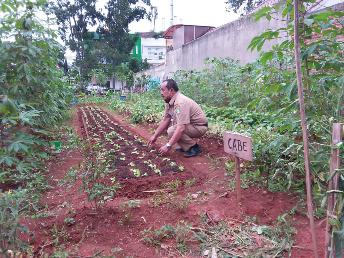 Alhamdulillah...Teruslah Berinovasi <a href="/KWT/">kowata</a> Mawar  Kampung SIRIH “Sejuk Indah Rapih dan Bersih” Rw 02 Kel Babakan Kec Tangerang