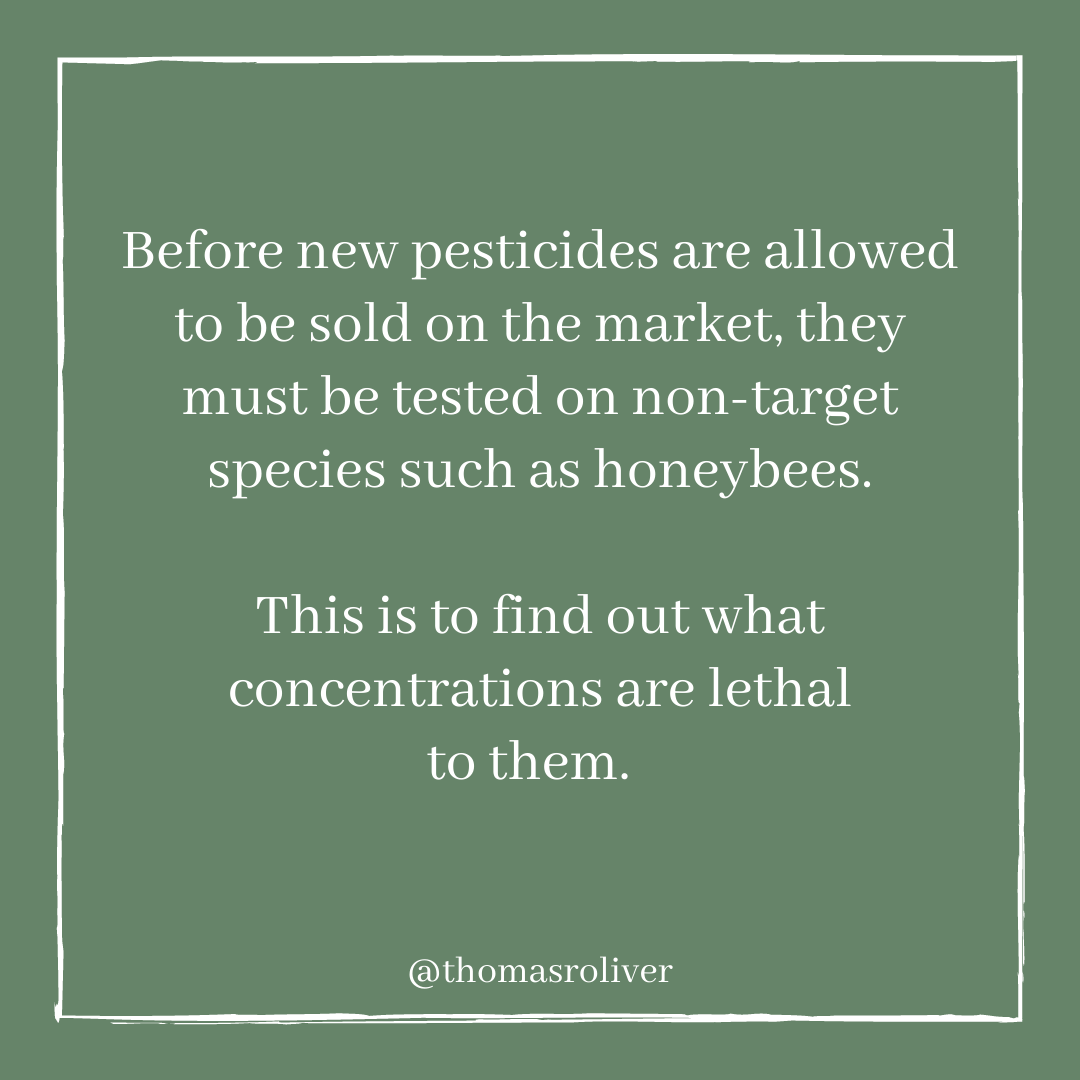 Before new pesticides are allowed to be sold on the market, they must be tested on non-target species such as honeybees. This is to find out what concentrations are lethal to them.