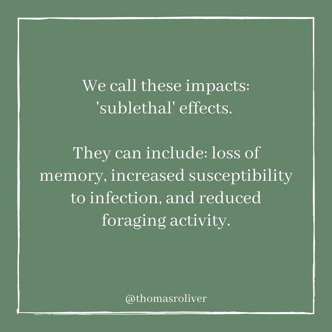 We call these impacts: 'sublethal' effects. They can include: loss of memory, increased susceptibility to infection, and reduced foraging activity.