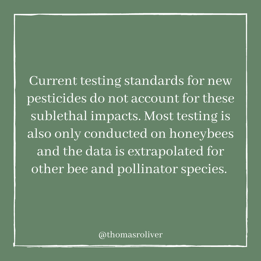 Current testing standards for new pesticides do not account for these sublethal impacts. Most testing is also only conducted on honeybees and the data is extrapolated for other bee and pollinator species.