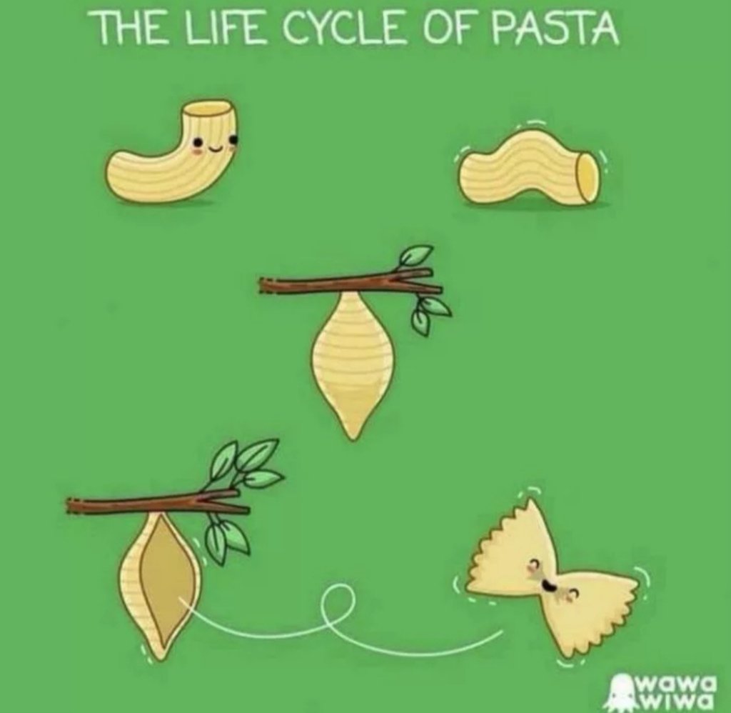 AlexJayZA's tweet photo. Lunchtime on #ChooseDay
Pasta time?
#WorkZone2 @jacarandafm https://t.co/JSOBfRo4BO