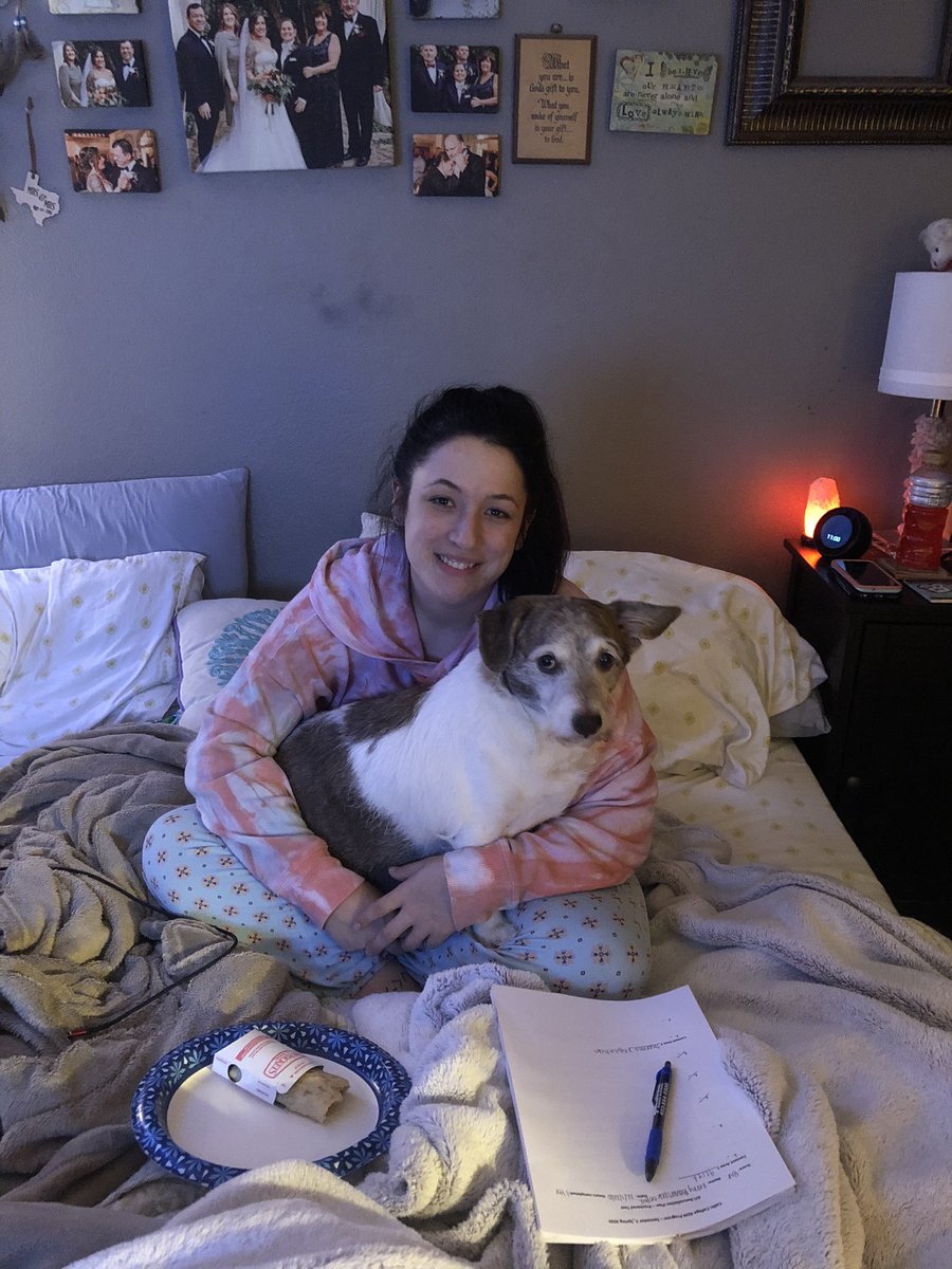 Still woke up trying not to make too much noise🥺 But the best boy ever is sleeping in this morning undisturbed by my alarms up in heaven🐾💙