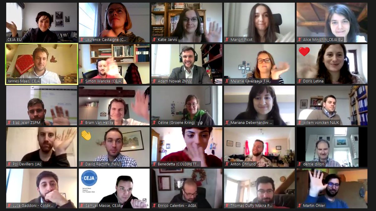 CEJA delegates were gathering online this morning for the last 2020 #workinggroup to discuss #Brexit, policy outlook for 2021 &amp; <a href="/IoF2020/">IoF2020</a> project. 

Thank you to all CEJA members for their hard work &amp; dedication to representing YFs across Europe throughout 2020. See you in 2021!