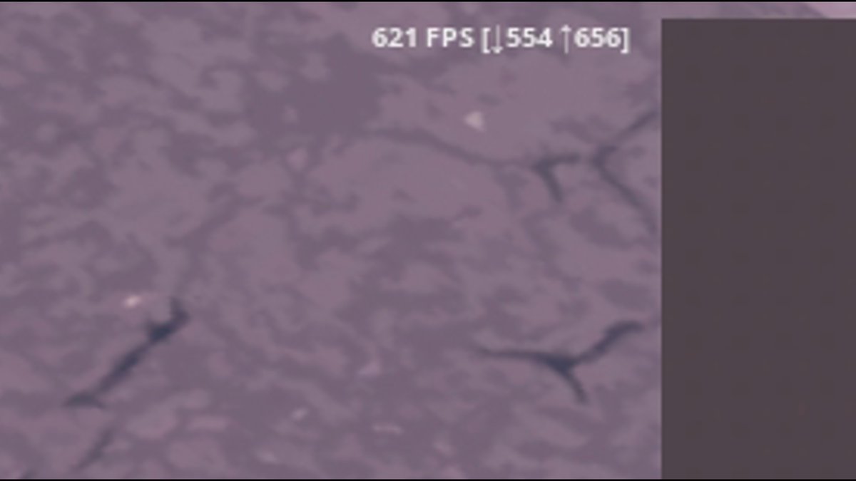 Raider464 tweet media