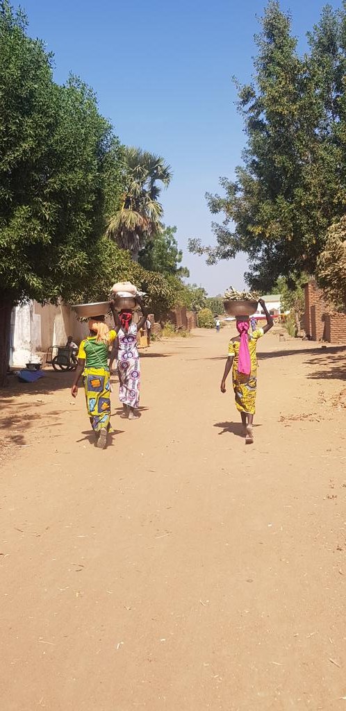 Hassan_fale's tweet photo. H-4 🕙
Laï, la ville de l'Or blanc 🌾vivra au rythme du festival agrobusiness
#Festagro202
#Laï
#Tchad
#ONAPE
@jeunesleaders
@gew_chad
@UNFPATCHAD https://t.co/EJ88bIEwud