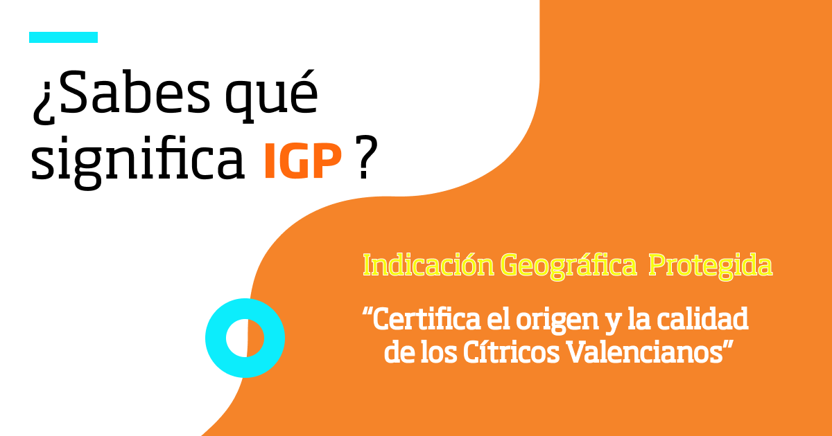 CValencianos's tweet image. ¿Sabes qué significa IGP &quot;Cítricos Valencianos&quot; y cuál es nuestra labor?
Indicación
Geográfica 
Protegida
Certificamos el origen y la calidad de los Cítricos Valencianos 🍊🍋🍊🍋.
Ayúdanos a proteger lo protegido y disfruta de la garantía de saborear  productos de origen 😋.