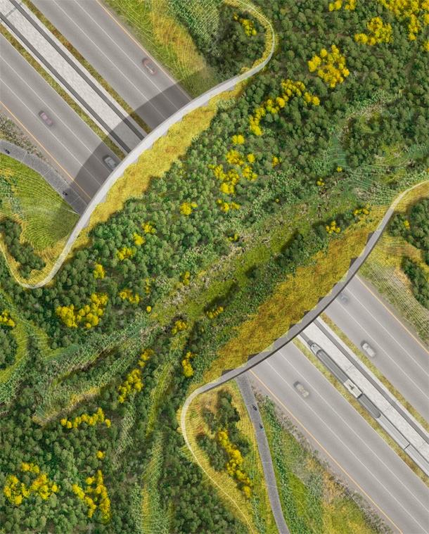 $3 billion would remove the 600,000 miles of abandoned barbed wire on public lands, about $3 million will build and landscape one wildlife overpass. If we repurposed the $38 billion in meat industry subsidies. We could build 12,500 overpasses & remove all that barbed wire.