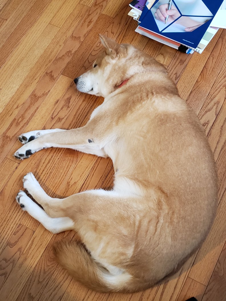 1/I am grateful for my family - the health of my parents, brother, and dog (Athena).Though my parents are probably my second harshest critic (after myself of course), I could have not have achieved what I have without their support and love.