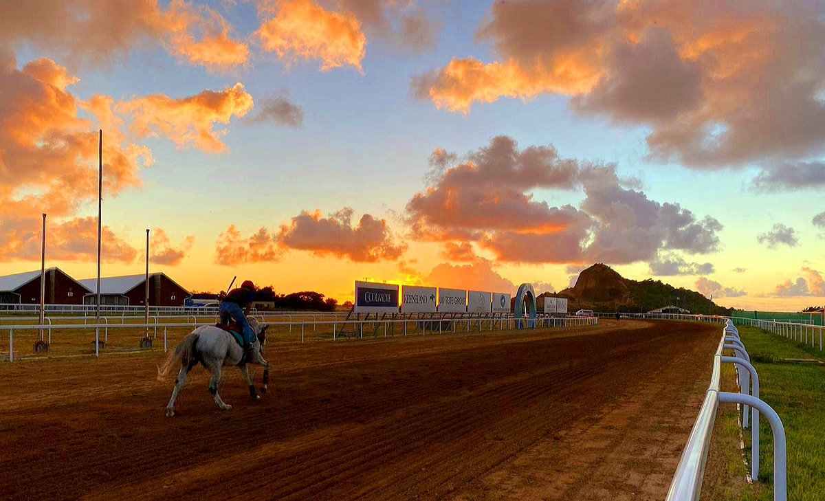 royalstluciatc's tweet photo. *Beautiful one day. Perfect the next.* Add RSLTC to your bucket list for 2021. Bring the family for a day or contact us to find out how you can be a racehorse owner at the most beautiful track in the world. #rsltc #stlucia @saintlucia #beautiful #caribbean@TravelSaintLucia@SLHTA https://t.co/coONxWJTgg