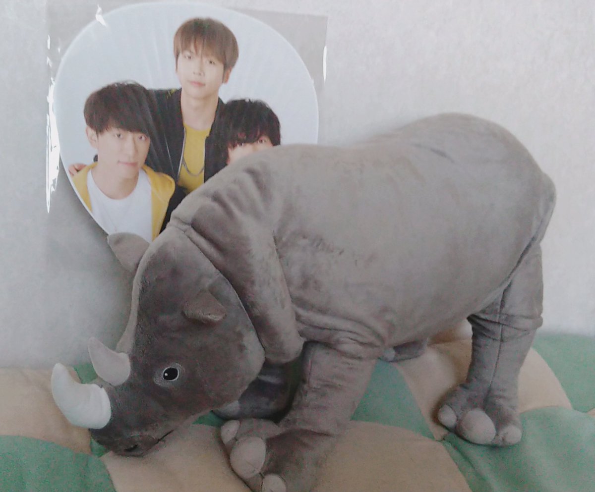 ゆな うちにもサイくん 増田貴久 チンチャうまっか ゆな うちにもサイくん 増田貴久 チンチャうまっか