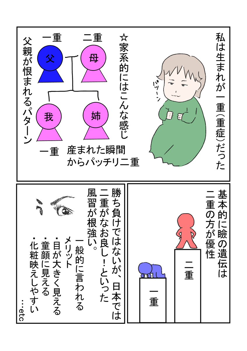 なかじょん 4y 7m 私のまぶたについて 母はゴッドネイルの持ち主だと思う 育児絵日記 育児漫画 一重 二重 T Co Hy9islbear Twitter