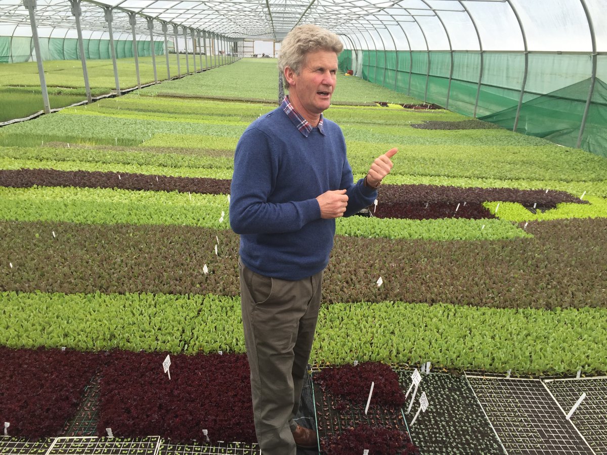 The summer plants are put in the ground between March and July planted weekly whilst the winter ones are planted in June and July. Jeremy Hosking and team are constantly looking at new ways to expand and this year a new tunnel has been built for 16,000 trays! Just under 1 acre!
