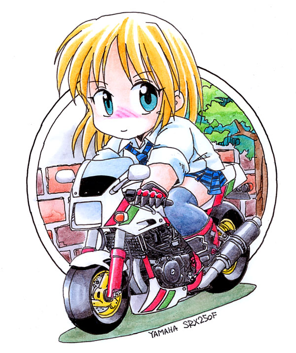 その昔少年ジャンプに連載してたロードランナーという漫画の中で、那智さんみたいなライバルキャラが「市街地すり抜けスペシャル」として乗っていたのに影響されて、初バイクがSRX250でしたヨ。 