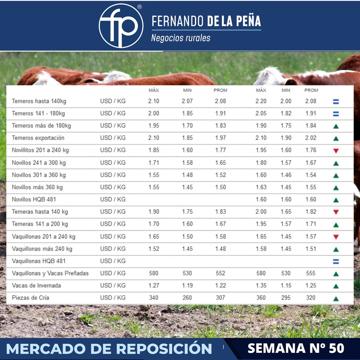 FPNegRurales's tweet photo. Buenos días a todos, continuamos informando los valores del #MercadoDeHacienda y #MercadoDeReposición en 🇺🇾 https://t.co/XsH0UFUNLy