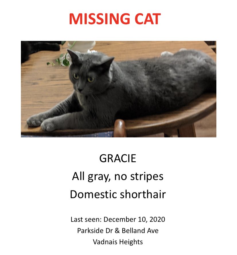 ACoCPodcast's tweet photo. My mother in law’s cat Gracie is lost! 🥺 She was last seen on December 10 in Vadnais Heights, MN (Parkside Dr &amp; Belland Ave). Please message me if you have any details, and please share!

https://t.co/x38uL6U8L0

#LostCat #LostCats #LostPet #LostPets https://t.co/6DVBVZrXsr