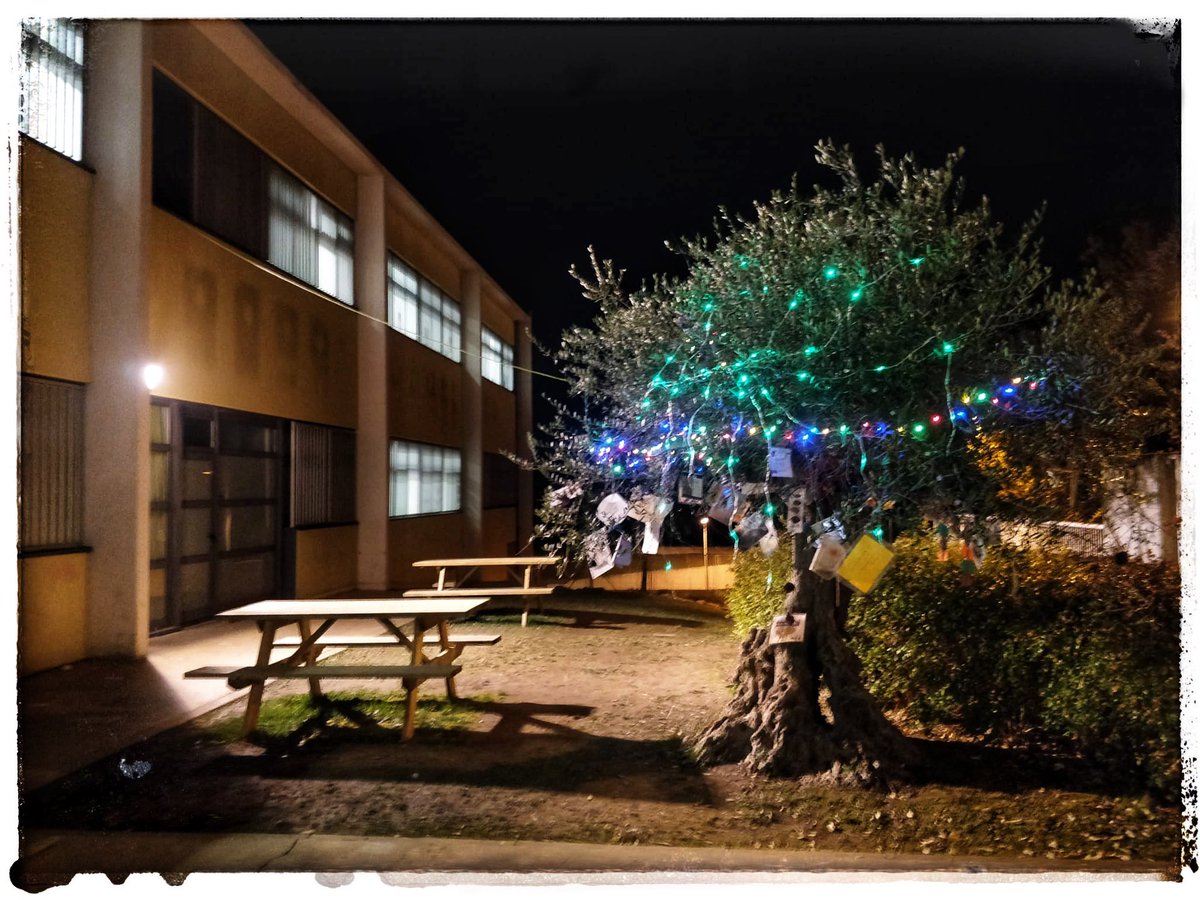 EscolaOlivera's tweet photo. L’Olivera s’il•lumina per festejar el final de trimestre 🎄💫🌟#il•luminemvolpelleres #femescola #fembarri @AMPA_OLIVERA https://t.co/5dytOvjg6E