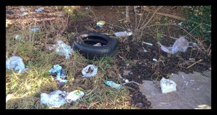 DECEMBER RIVERS ALIVE CLEANUPS - JOIN US! conta.cc/3oAcz4N