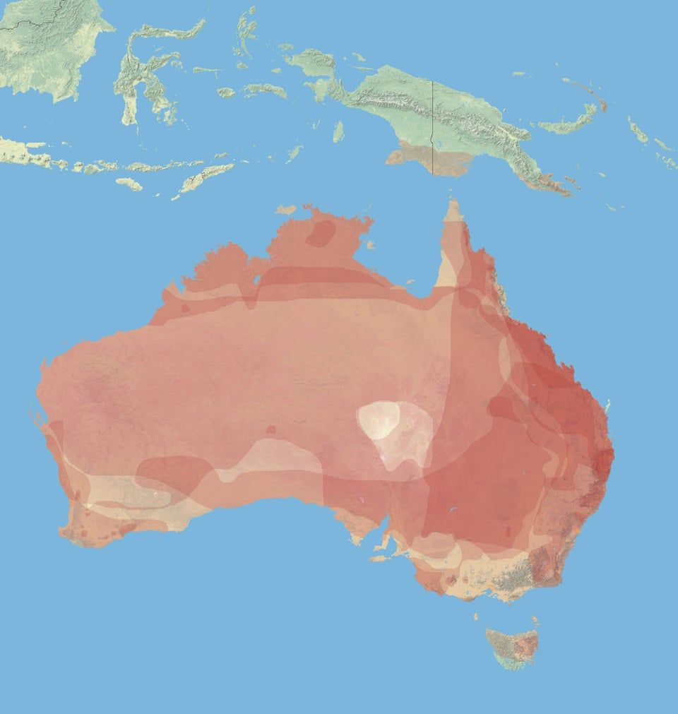 simongerman600's tweet photo. Map shows the macropus species density across Australia. Macropus is essentially a fancy word for kangaroo. 

Map source: https://t.co/Yi47qYJC71
Wikipedia on macropus: https://t.co/x2dSHlZ00f https://t.co/JlCpjvoGVv