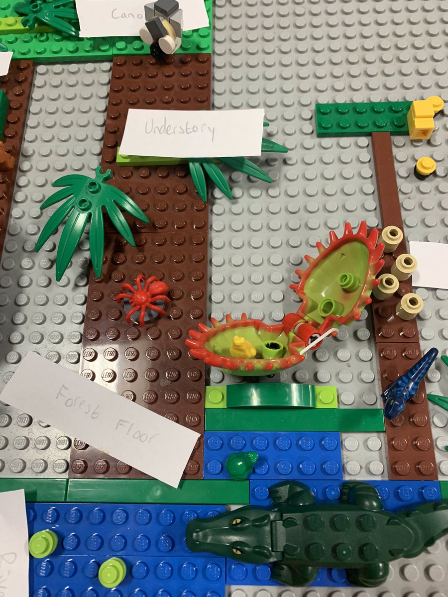 A wonderful annotated Lego rainforest by Ross in S3. It shows the different layers of the rainforest and the species found there (with a little creative license 🦖!)