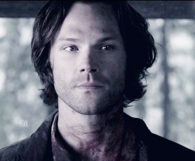 они с Люцифером выходят на лагерь, где Дин, Джек, Мэри, Габриэль и др. Дин не может поверить, что Сэм живой, улыбается, а Сэму не до этого, пока не появляется сзади Люцифер. он вздрагивает, ощущает себя предателем? но по фактам Дину важно лишь одно: чтобы брат был жив