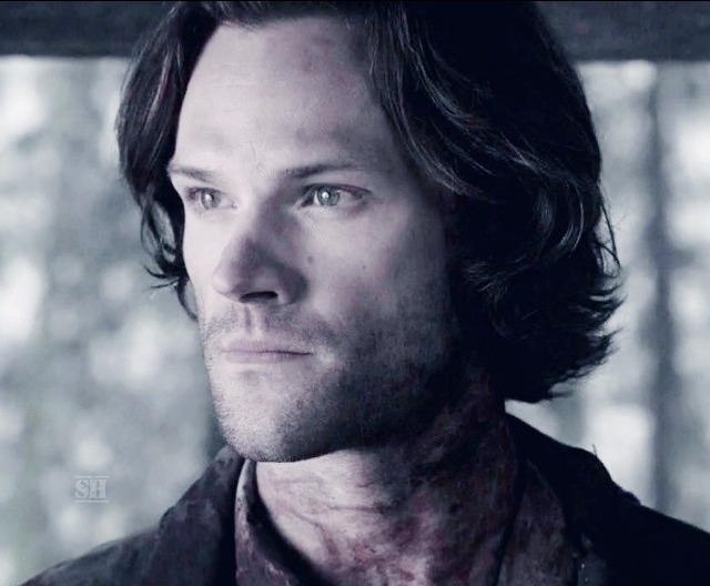 они с Люцифером выходят на лагерь, где Дин, Джек, Мэри, Габриэль и др. Дин не может поверить, что Сэм живой, улыбается, а Сэму не до этого, пока не появляется сзади Люцифер. он вздрагивает, ощущает себя предателем? но по фактам Дину важно лишь одно: чтобы брат был жив