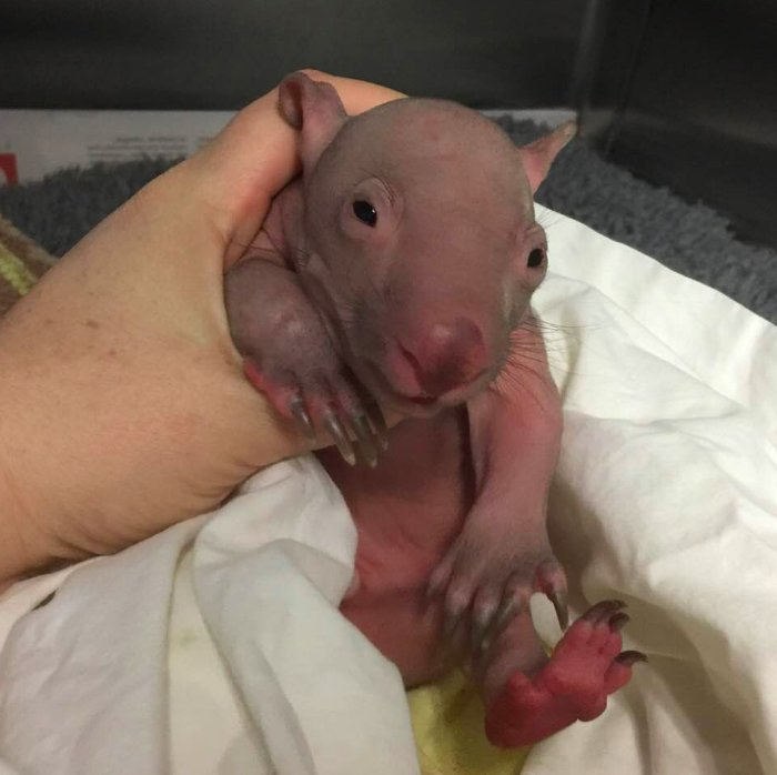 May never get over this