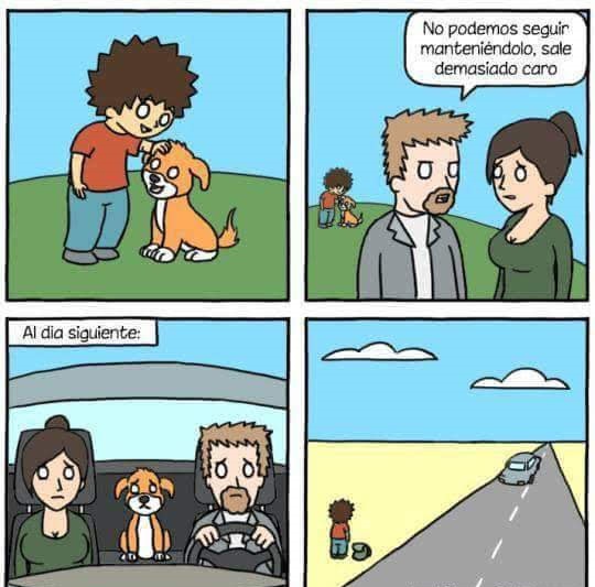 septimoartecol's tweet photo. ESPECIAL: Perros de película 🦮 (Parte 19)

Todos los animales merecen un respeto por lo que son y dar gracias por todo lo que nos dan, pero hay que distinguir entre animales y personas.

Quien trata los animales como personas, termina tratando las personas como animales.

Bogotá https://t.co/hbAQ15tSOC