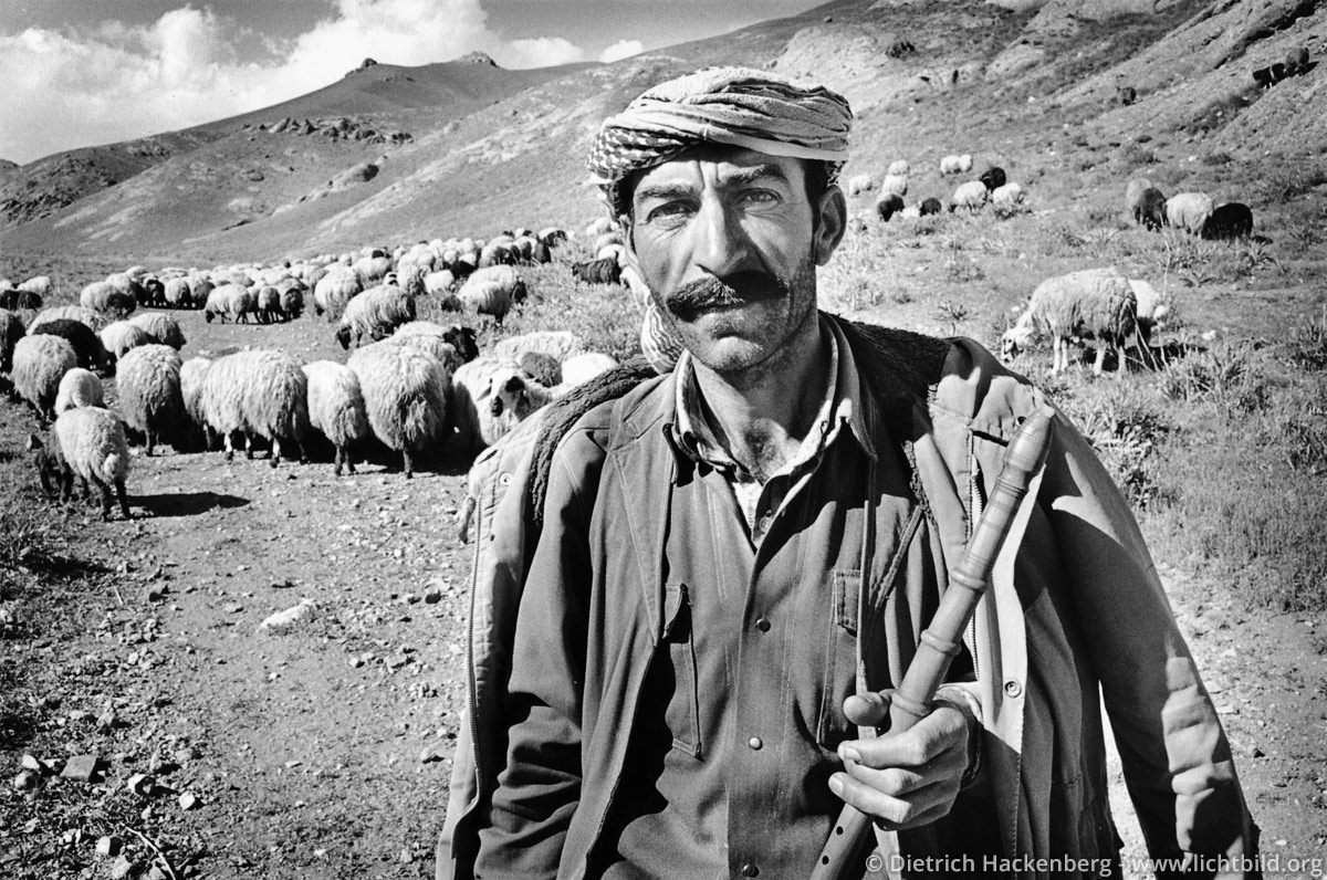 Kurdish shepherd, Gever 1991.