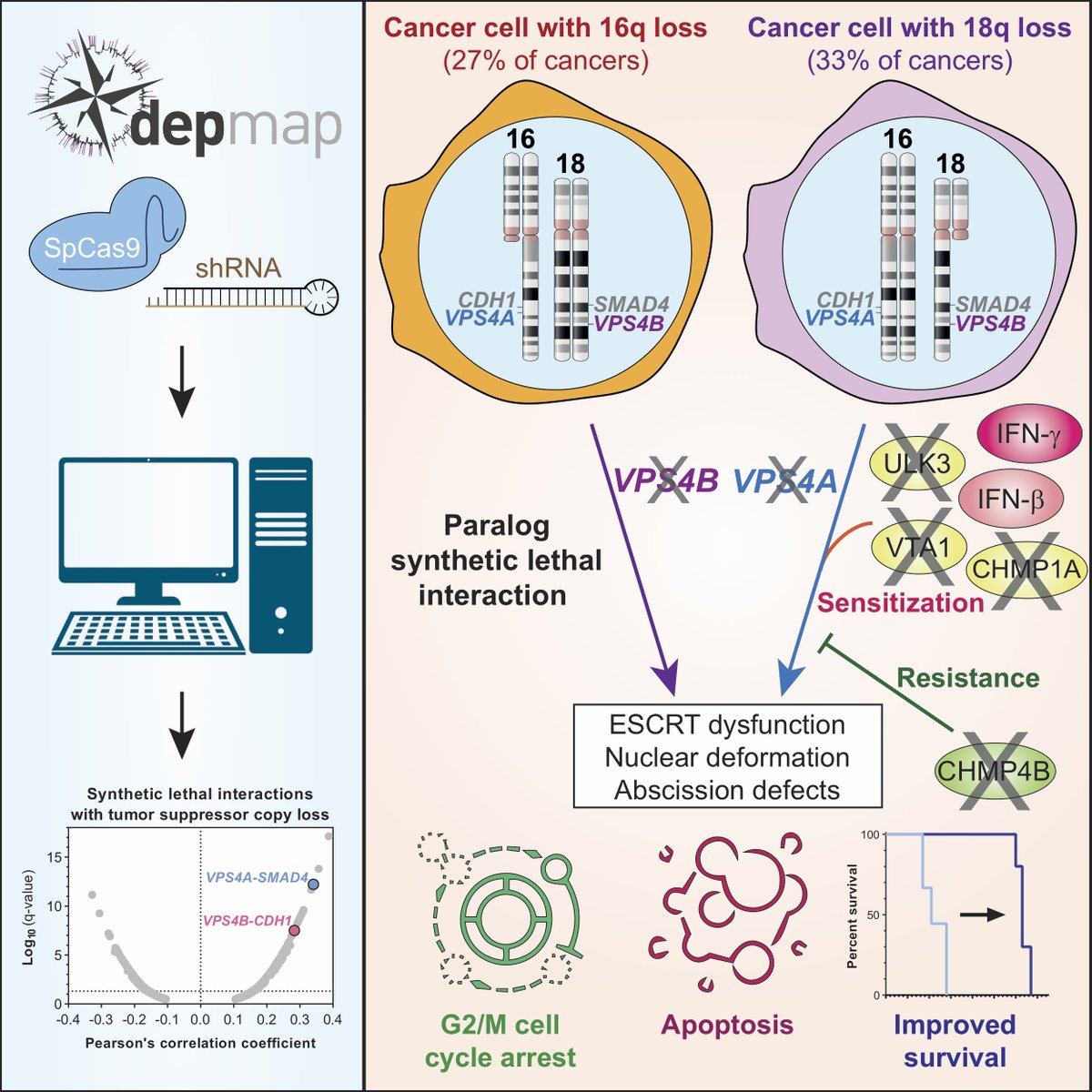 Guillaume Kugener (gkugener) Twitter
