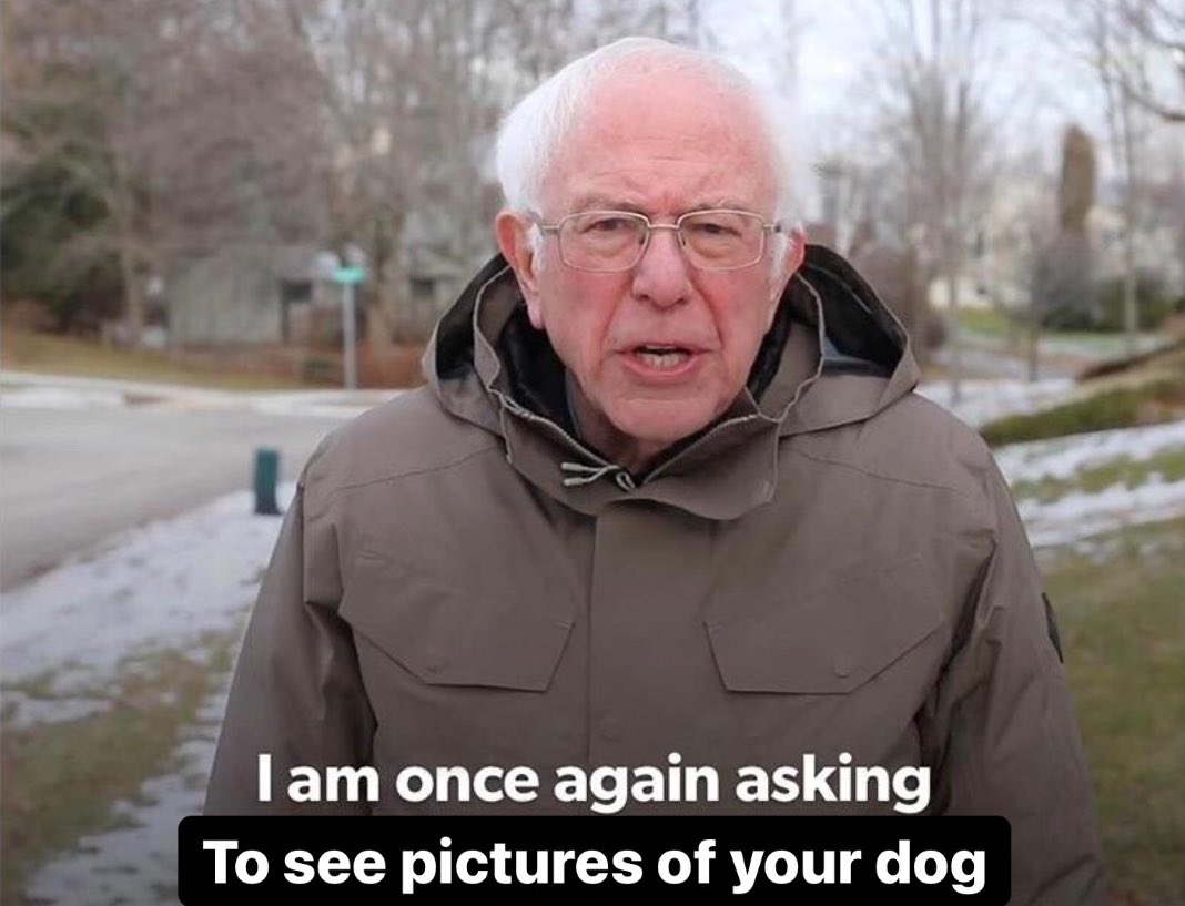 ᴘᴀᴠʟᴏᴠ ᴛʜᴇ ᴄᴏʀɢɪ tweet media