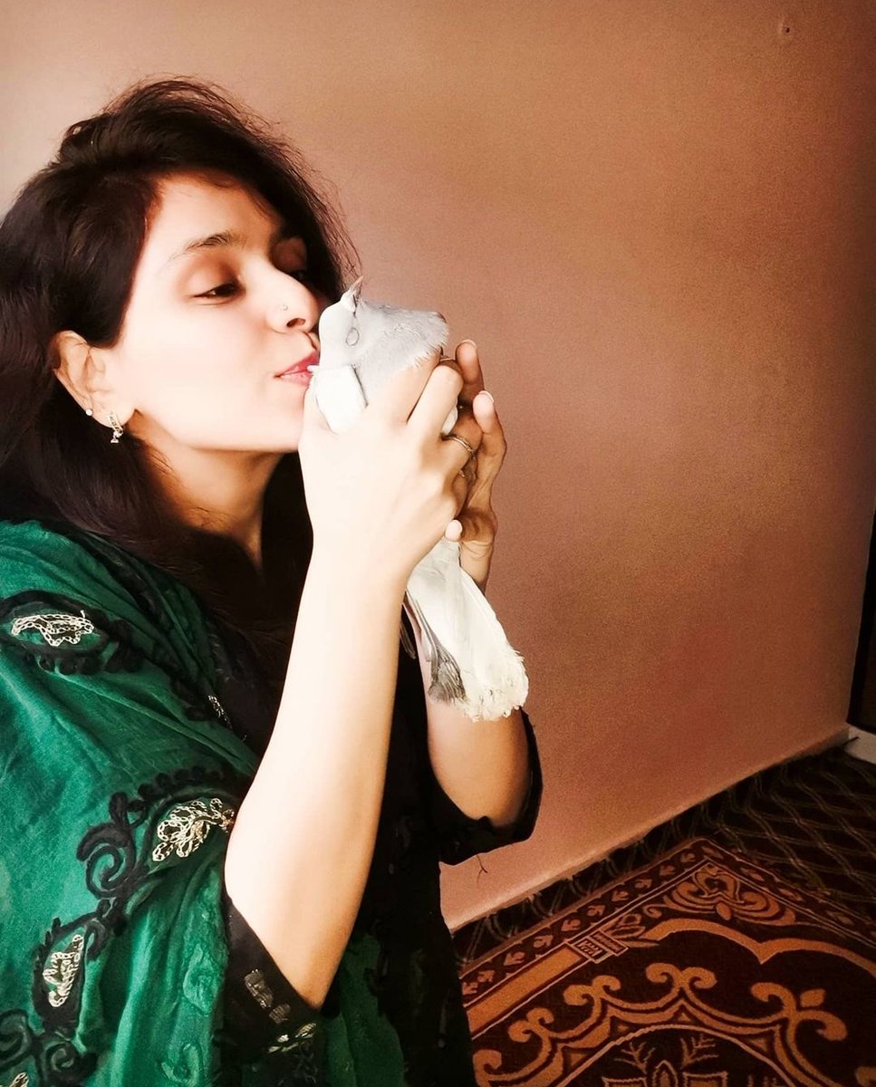 hadiya_o_rehman's tweet photo. #peigon #SeekingPeace #time #bird 

What's meant for you will always FIND you when the TIME is RIGHT...😇
IN SHAA ALLAH... 😊

LIKE THIS LITTLE PIGEON FOUND US...❤️
ALHAMDULILLAH... 😇 https://t.co/p51v1rLxa2
