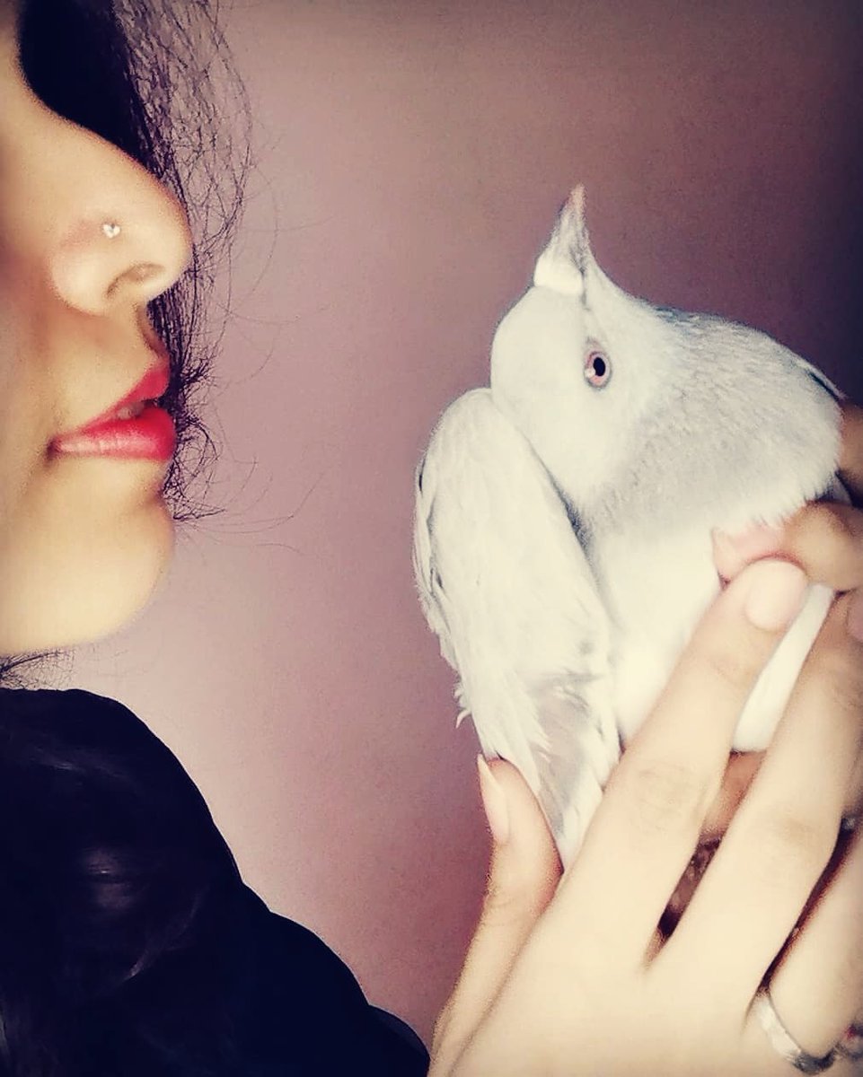hadiya_o_rehman's tweet photo. #peigon #SeekingPeace #time #bird 

What's meant for you will always FIND you when the TIME is RIGHT...😇
IN SHAA ALLAH... 😊

LIKE THIS LITTLE PIGEON FOUND US...❤️
ALHAMDULILLAH... 😇 https://t.co/p51v1rLxa2