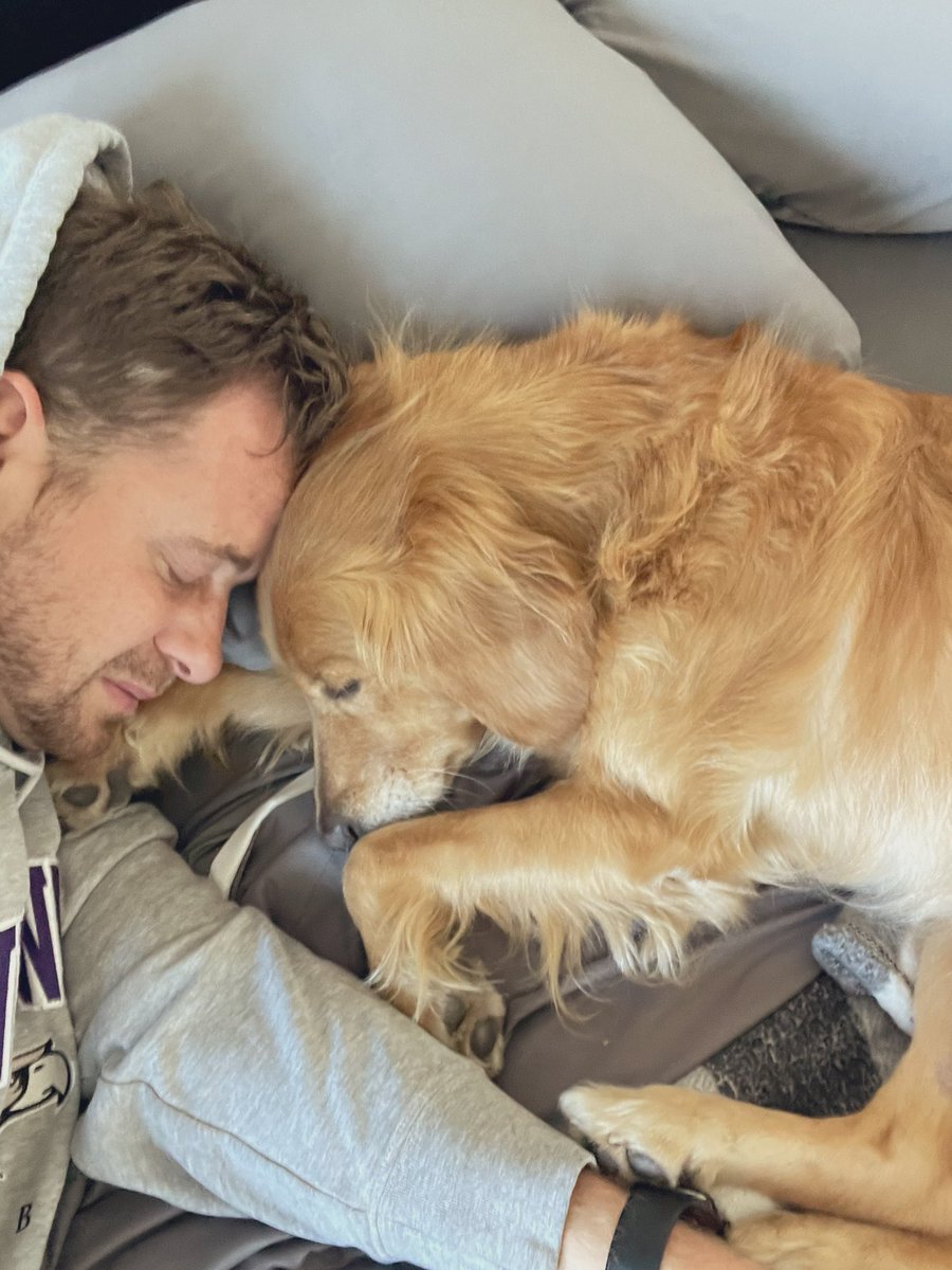 Ryan Negri tweet media