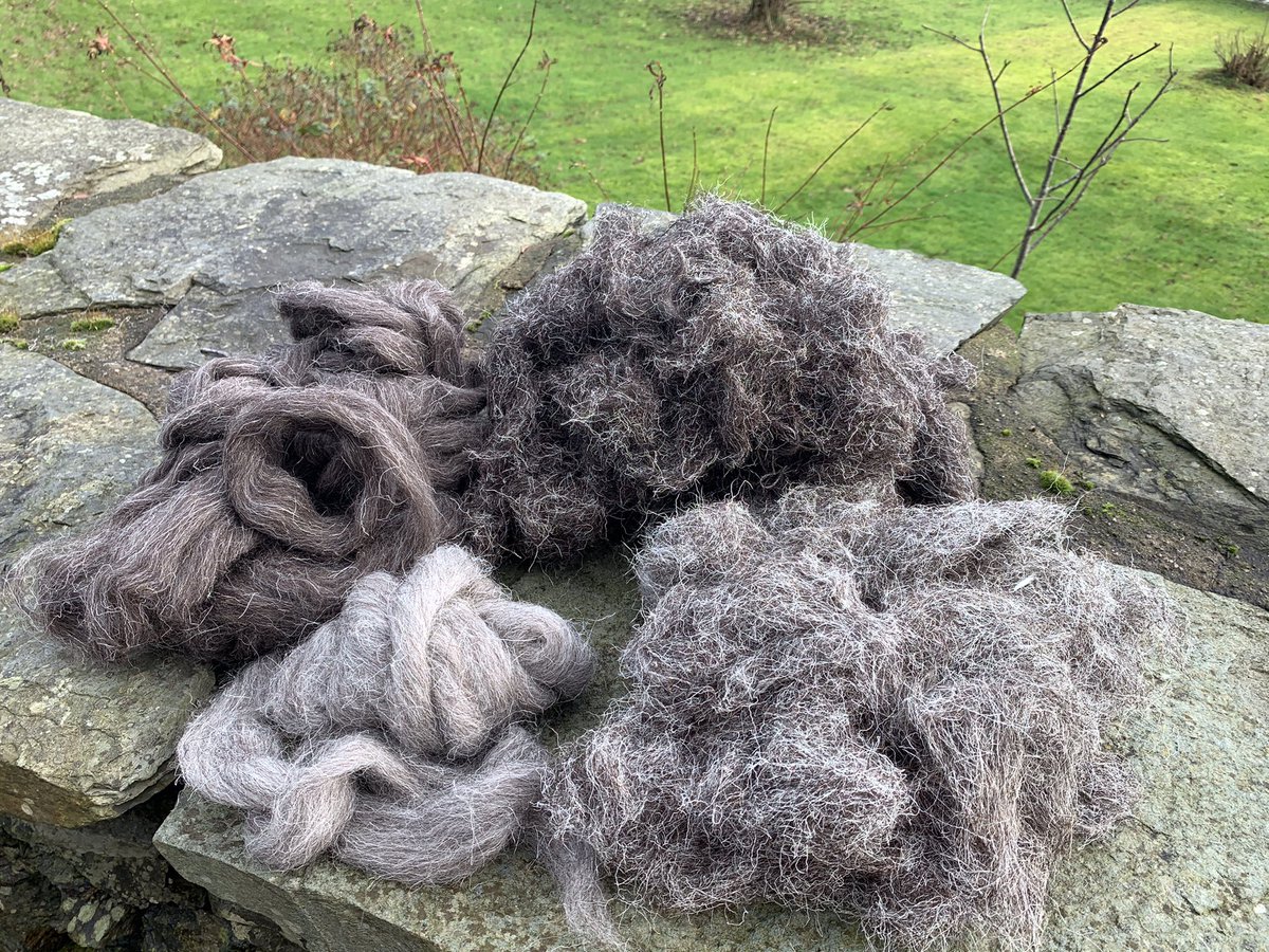 SmallholdersUK (find us on BlueSky) tweet media