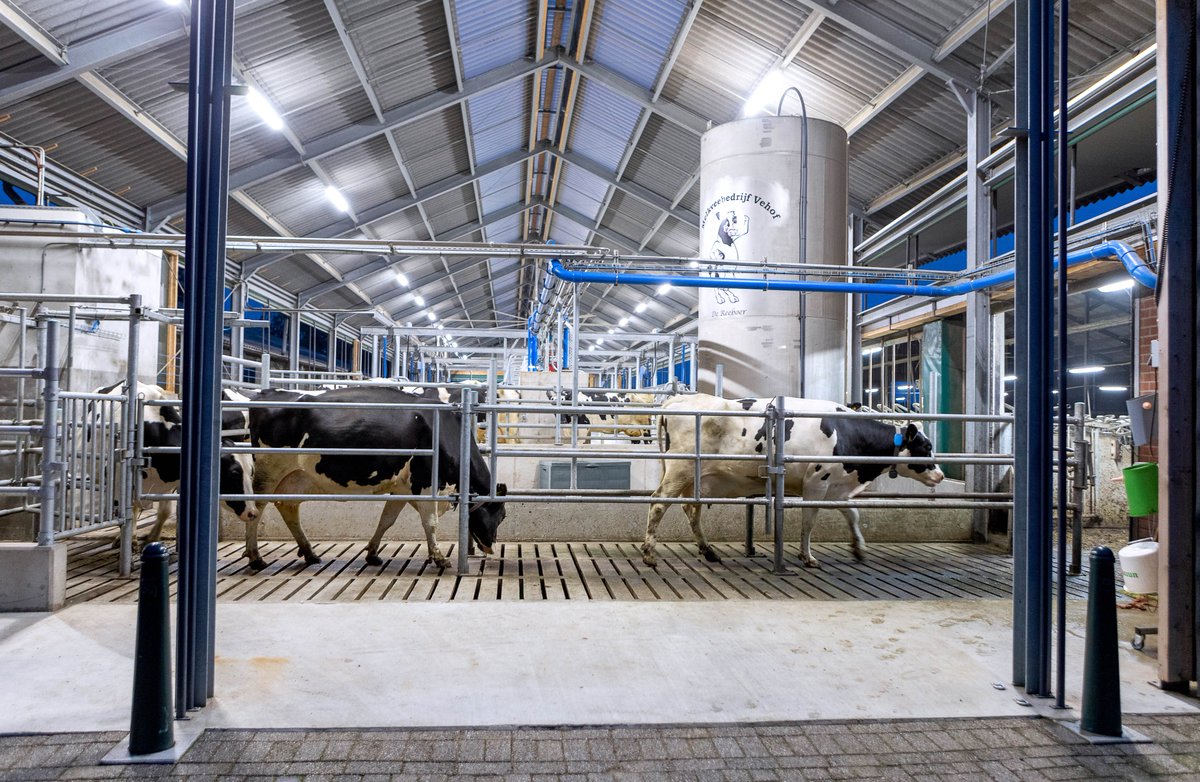 FullwoodPackoUK's tweet photo. Improve cow health, fertility and overall efficiency with our herd management solutions, for farms and herds of every size, for both milking parlours and robotic systems.
https://t.co/xzQumfa2F3
#understandyourcows #Farm365 #farming #dairyfarming https://t.co/RH1T0YskYp